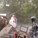 Vrau burrin për pasurinë më pas shkroi një libër për pikëllimin, dënohet me burgim të përjetshëm 36-vjeçarja