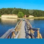 Dy ditë para zgjedhjeve, policia e Kosovës vë në pranga aktivistin e Listës Serbe!